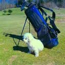 Callaway